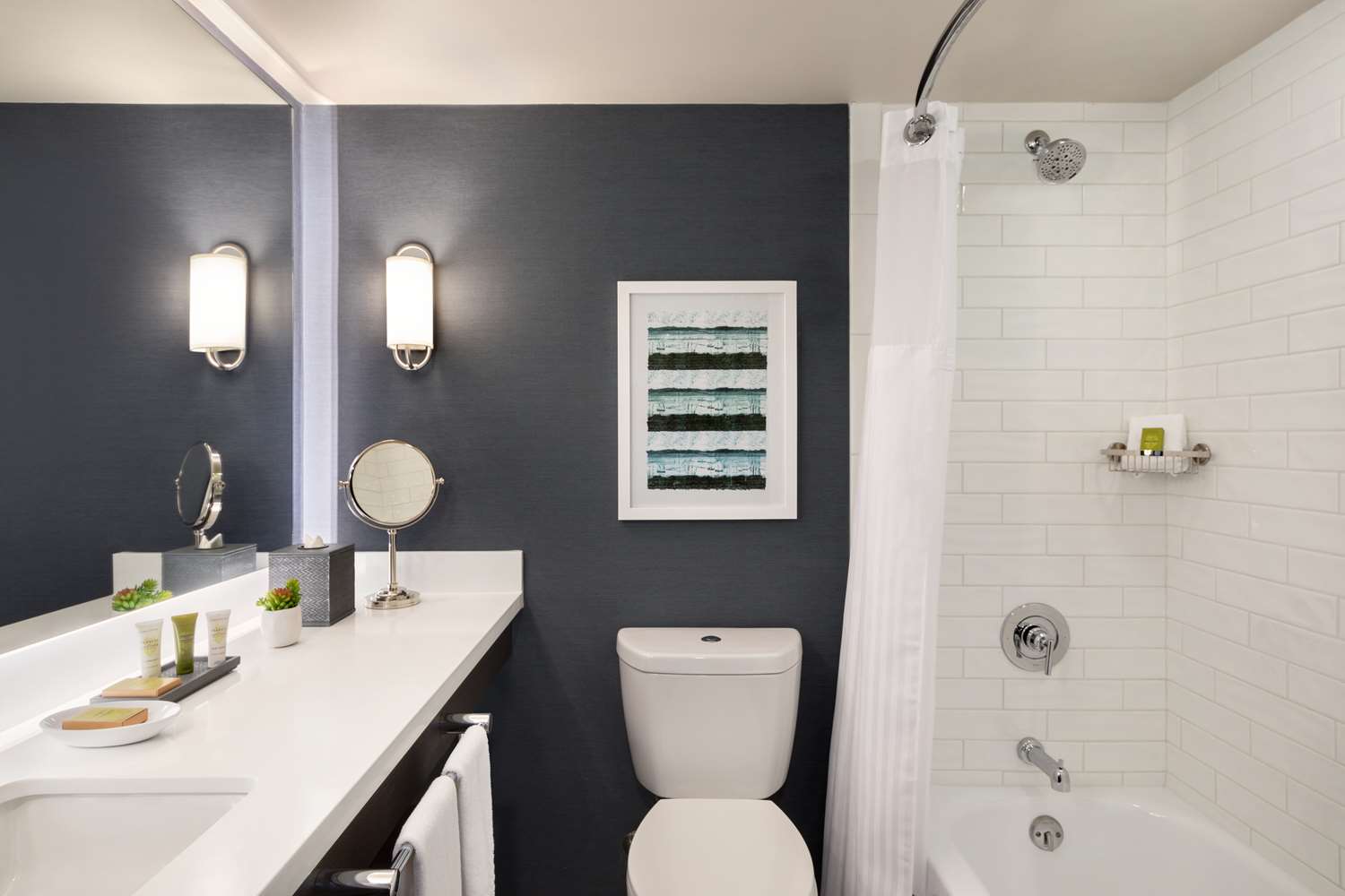 hotel champlain burlington curio collection by hilton