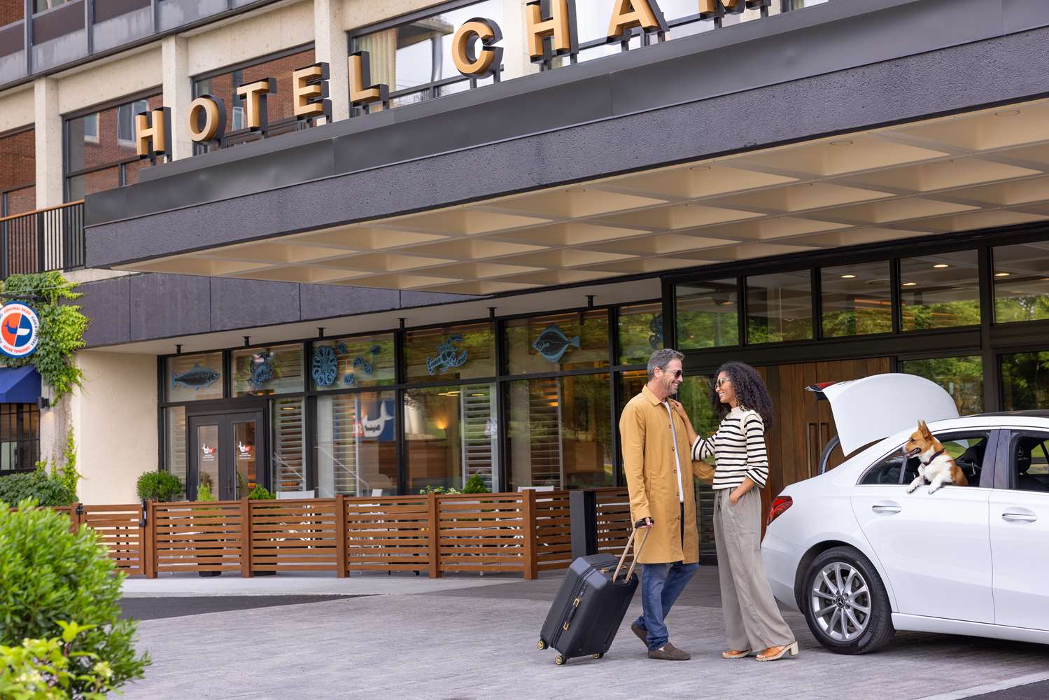 hotel champlain burlington curio collection by hilton
