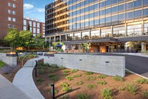 hotel champlain burlington curio collection by hilton