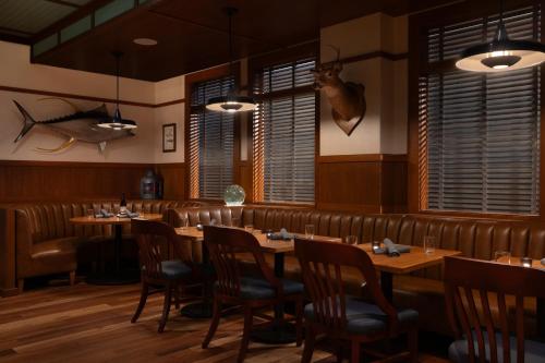 hotel champlain burlington curio collection by hilton