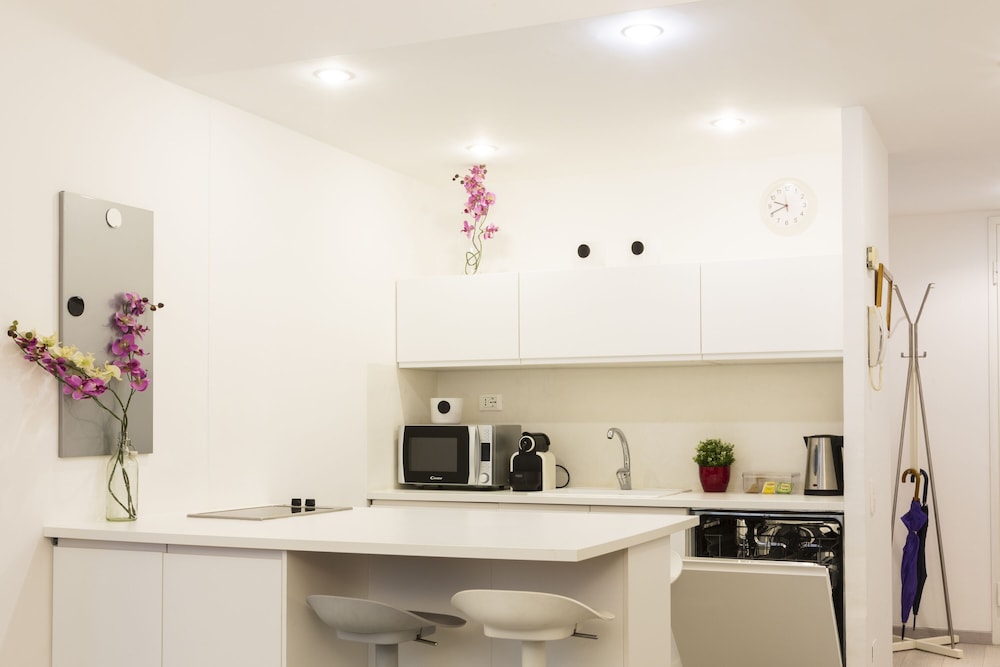 notami queen of brera san marco 1