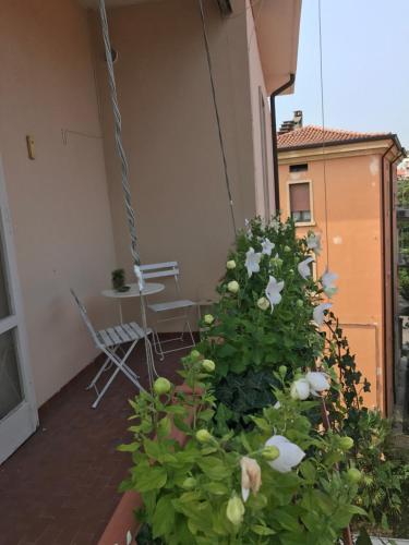verona