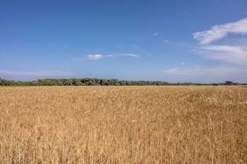 masseria mongio dell elefante