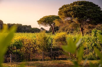 masseria mongio dell elefante