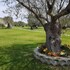 agriturismo donna beatrice