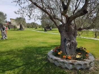 agriturismo donna beatrice