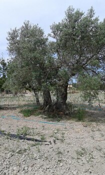 agriturismo donna beatrice