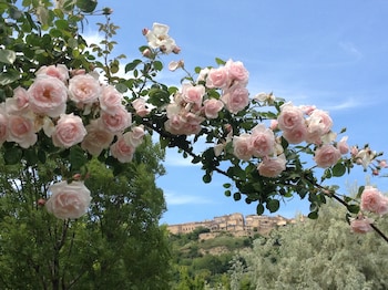 bandb vento di rose