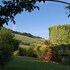 monterubbiano