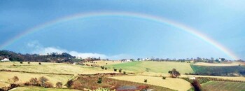 bandb vento di rose