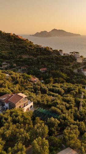 casa clementina marciano