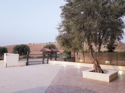 casale marcalia