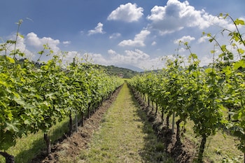 agriturismo la rocca