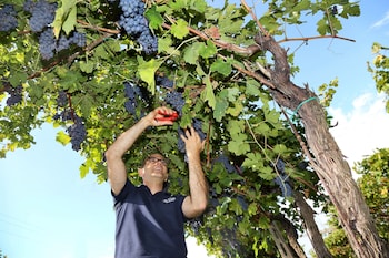 agriturismo la rocca