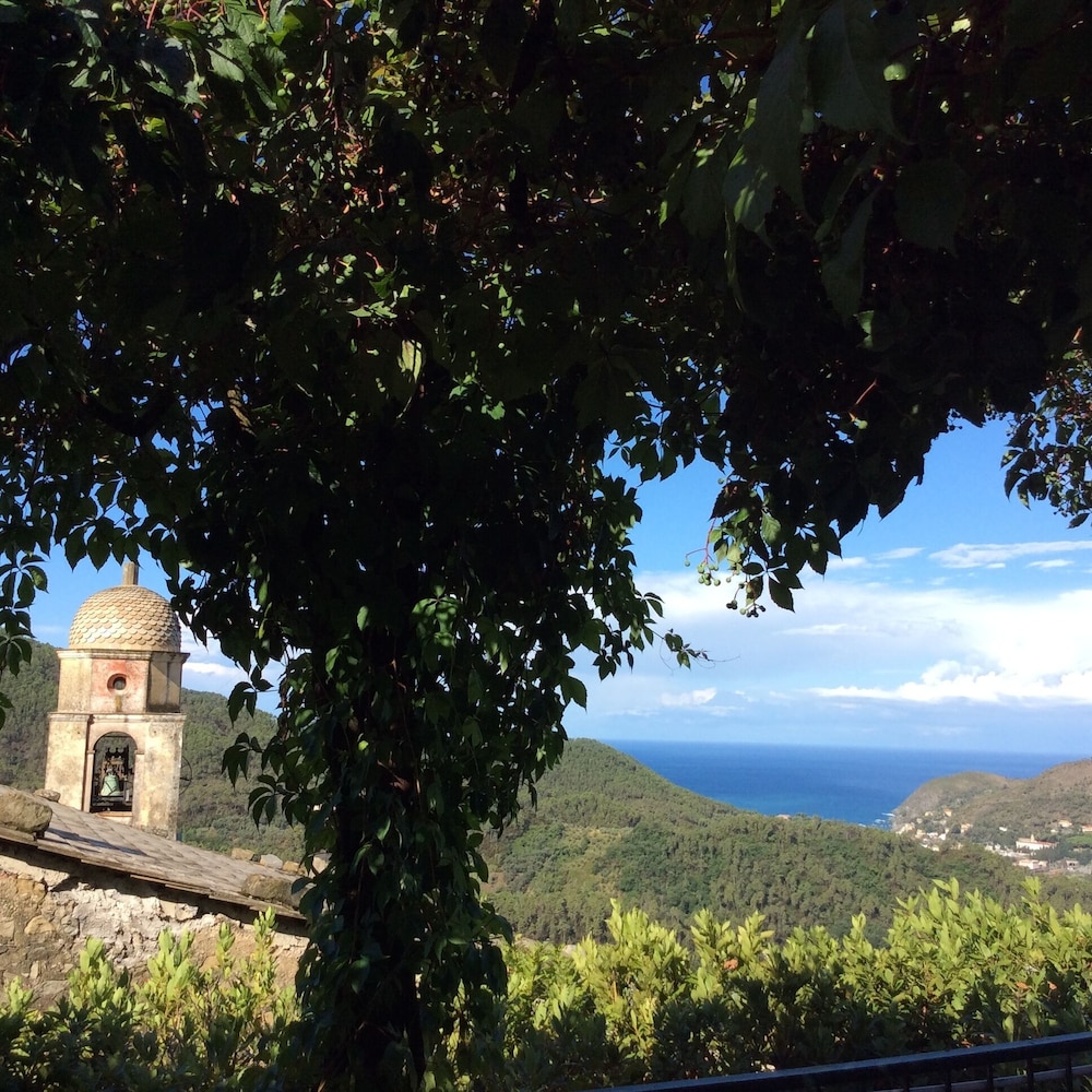 levanto