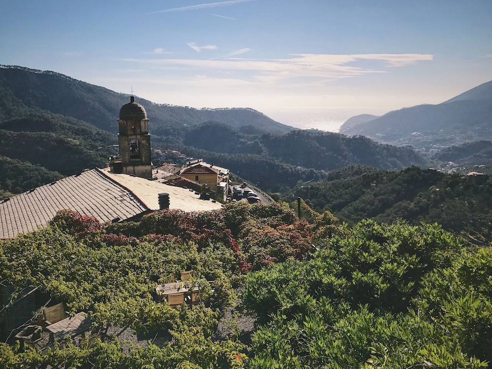 levanto