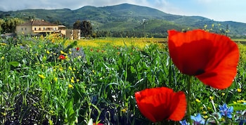 agriturismo la petrosa