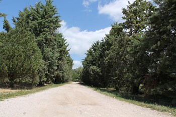 agriturismo la petrosa