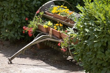 Agriturismo La Petrosa,Castelnuovo Cilento>>Arzano,1 star