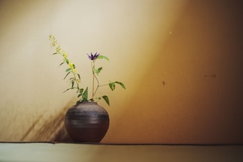 ryokan motonago