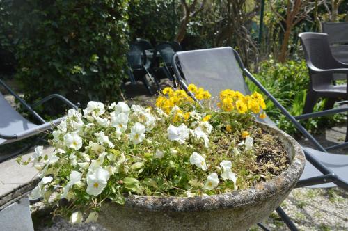il giardino nel parco randb