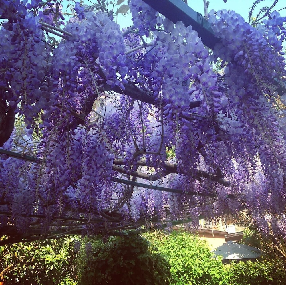 il giardino nel parco randb
