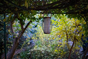 il giardino nel parco randb