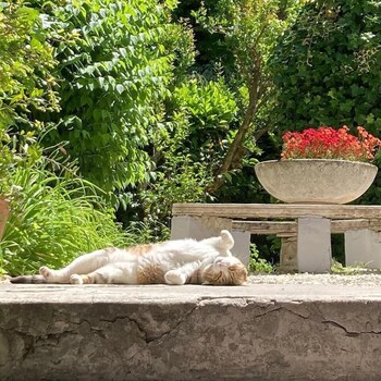 il giardino nel parco randb