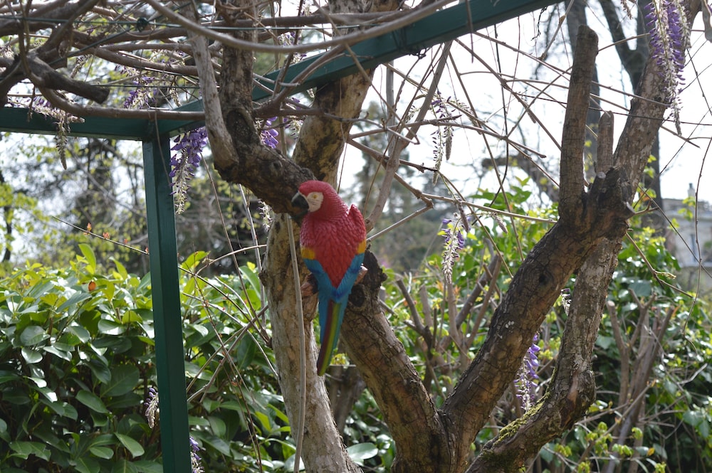 il giardino nel parco randb