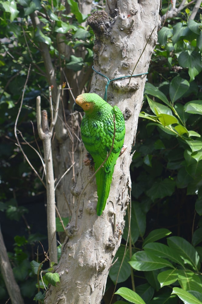 il giardino nel parco randb