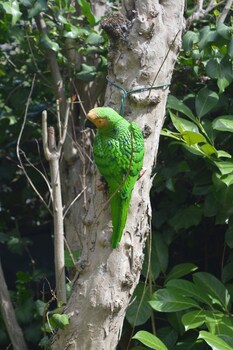 il giardino nel parco randb