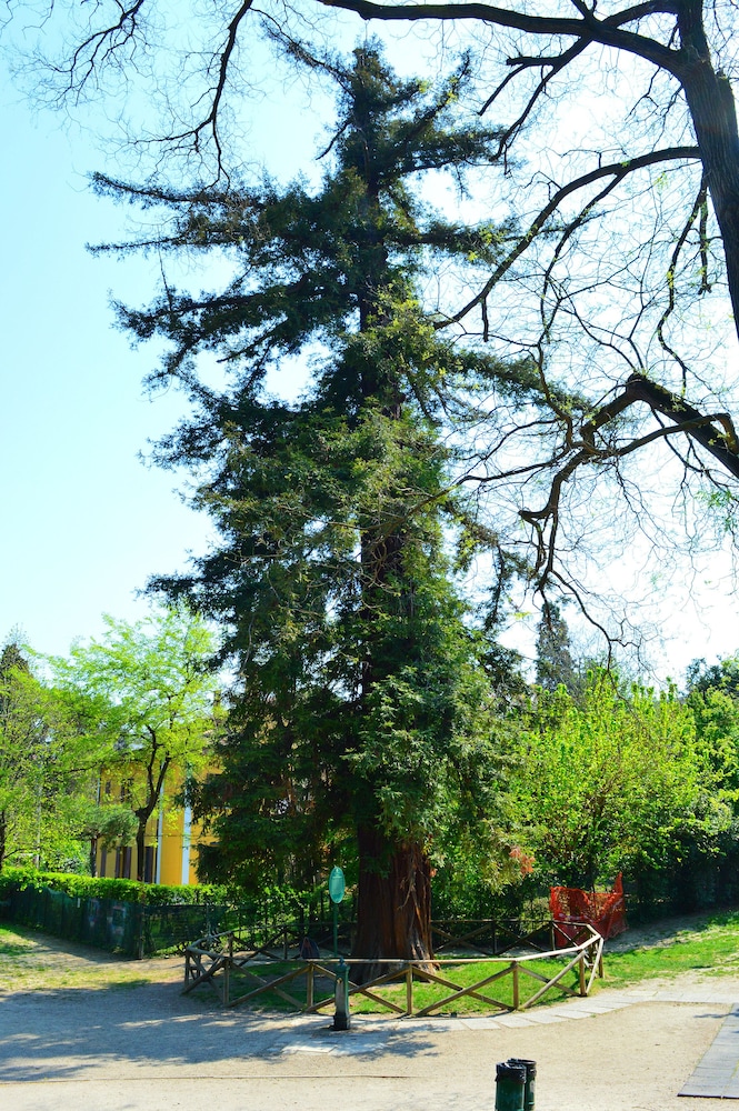 il giardino nel parco randb