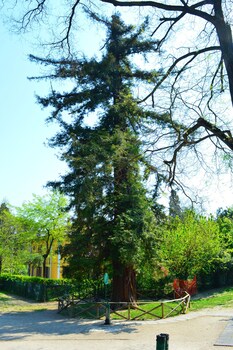 il giardino nel parco randb