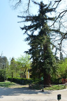 il giardino nel parco randb