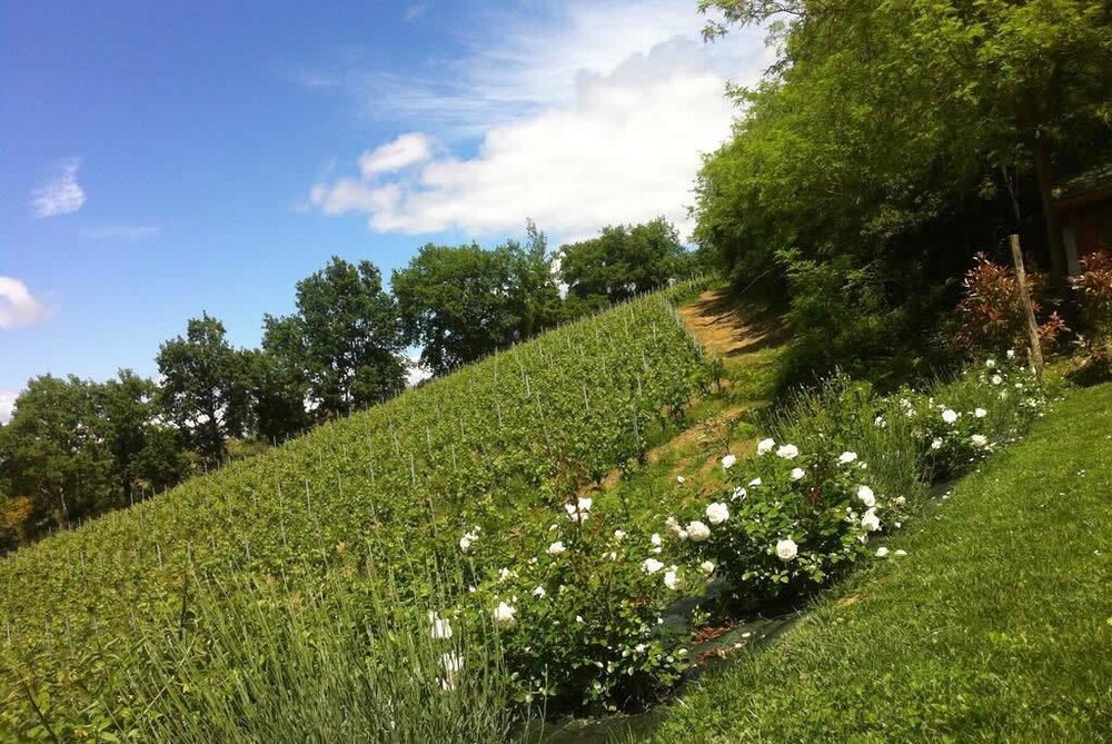 san gimignano