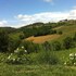 san gimignano
