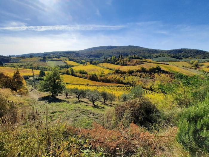 san gimignano