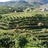valdobbiadene