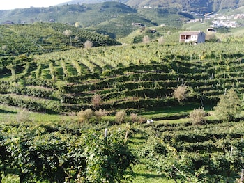 valdobbiadene