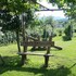 la casa vecchia