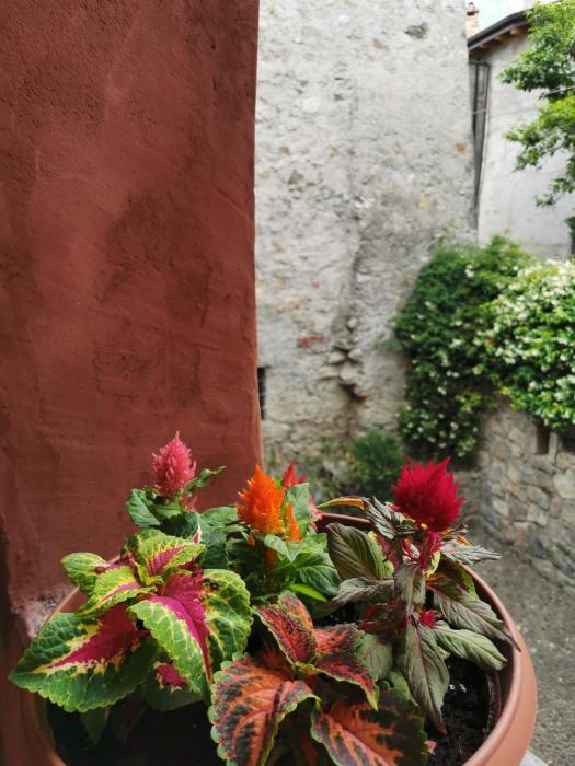 alla torre del barbarossa