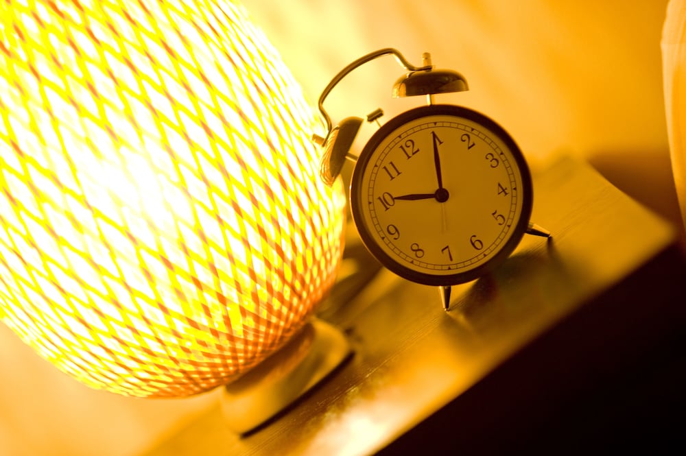 camera 40 in gorgonzola