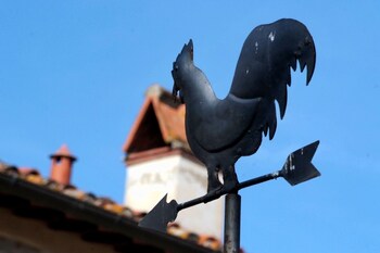 terranuova bracciolini