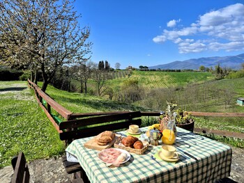 terranuova bracciolini