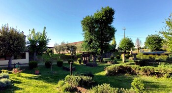 terranuova bracciolini