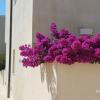 cala palme