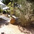 azienda agrituristica le betulle