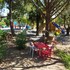 azienda agrituristica le betulle
