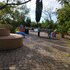 azienda agrituristica le betulle