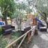 azienda agrituristica le betulle